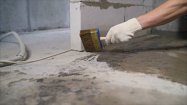 SJ Waterproofing Pros Waterproofing coverage map for Rogersville, AL and surrounding area